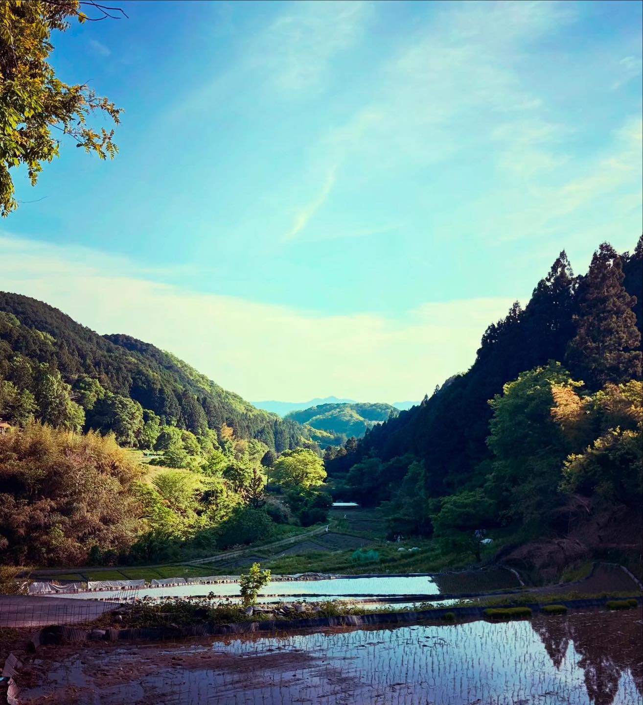 和歌山・里山での川遊び